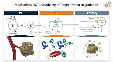 Mechanistic PK:PD Modeling of Target Protein Degradation Chart.1