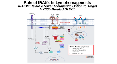 Targeting MYD88-Mutant DLBCL with IRAKIMiDs Version 2