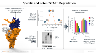 STAT3 oxford global virtual conference TILE