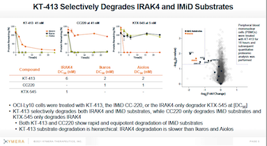 KT-413_Selectively_Degrades_IRAK$_and_IMiD_Substrates