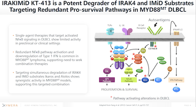 KYMR ICML21 Presentation Thumbnail