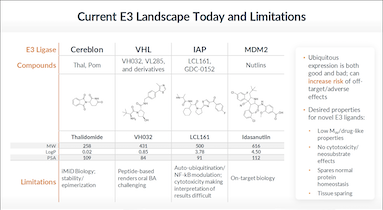 E3 Ligase