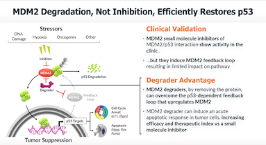 MDM2