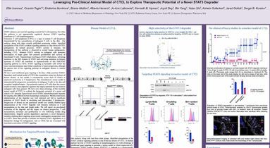 Leveraging Pre-Clinical Animal Model - 1