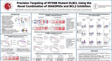 Leveraging Pre-Clinical Animal Model - 2