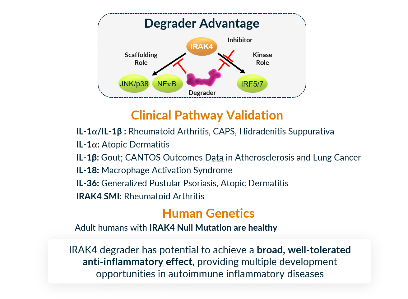 Kymera-IRAK4-Degrader-Advantage-Image