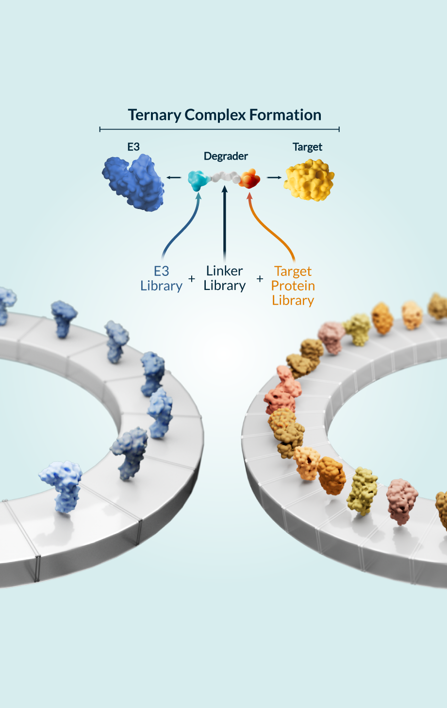 kymeratx_science-and-innovation_our-approach_platform
