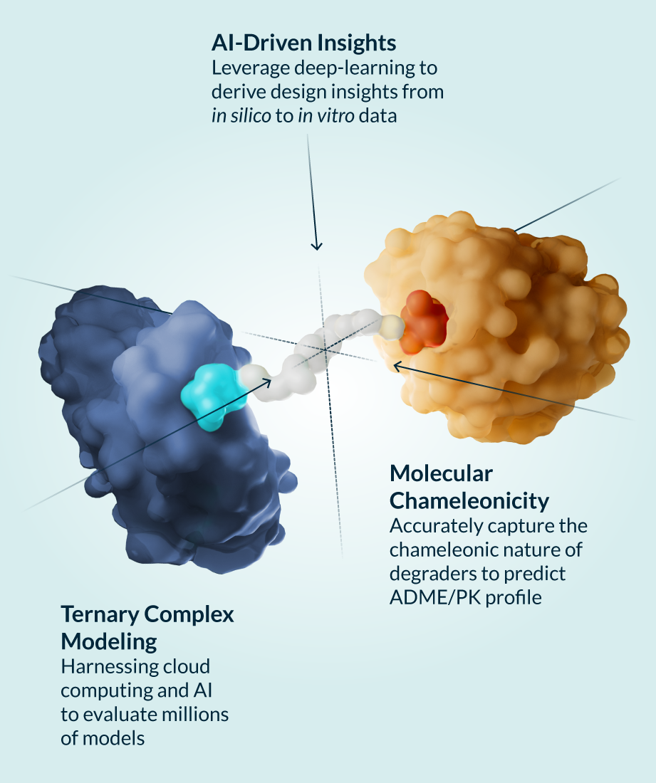 kymeratx_science-and-innovation_our-approach_preclinical-to-clinical-translation