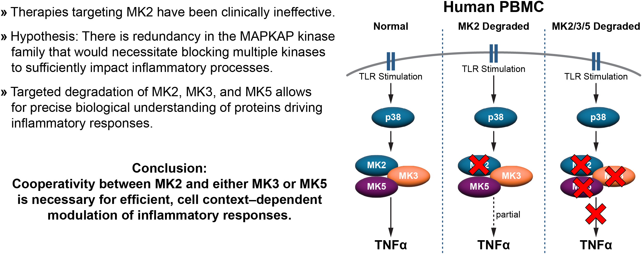 Kymera MK2 Publication Frontiers 2026